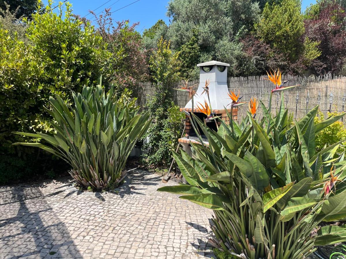 Casa Pausa Sesimbra Holiday Home Buitenkant foto